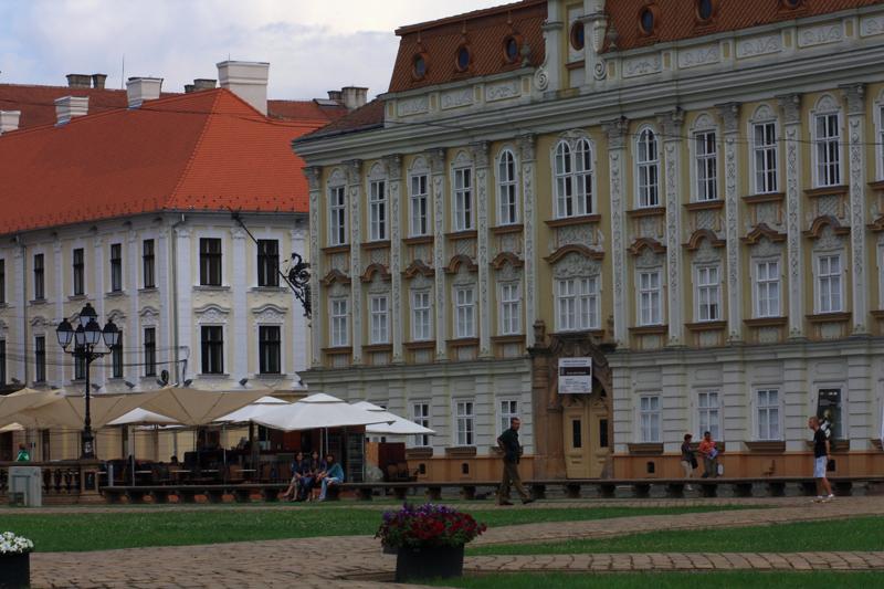 20-Timisoara,2 agosto 2011.JPG